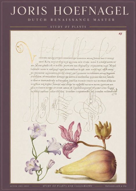 Joris Hoefnagel Study of Plants II No1 - Poster