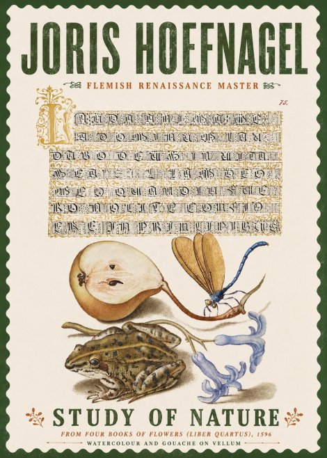 Joris Hoefnagel Study of Nature II No6 - Poster