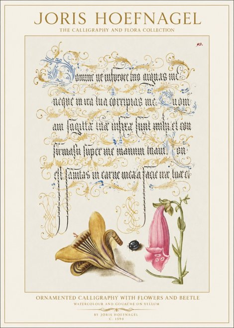 Joris Hoefnagel Ornamented Calligraphy with Flowers and Beetle No1 - Poster