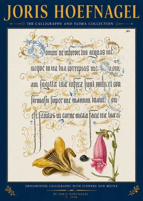 Joris Hoefnagel Ornamented Calligraphy with Flowers and Beetle No2 - Poster