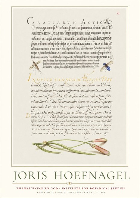 Joris Hoefnagel Thanksgiving to God • Institute for Botanical Studies No1 - Poster