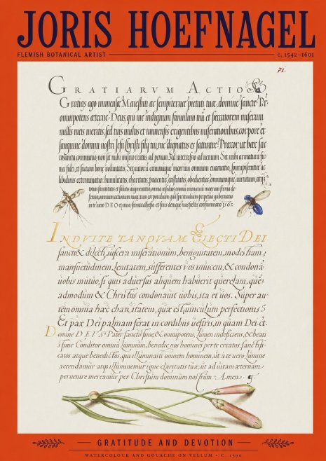 Joris Hoefnagel Thanksgiving to God • Institute for Botanical Studies No2 - Poster