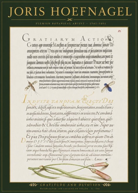 Joris Hoefnagel Thanksgiving to God • Institute for Botanical Studies No3 - Poster