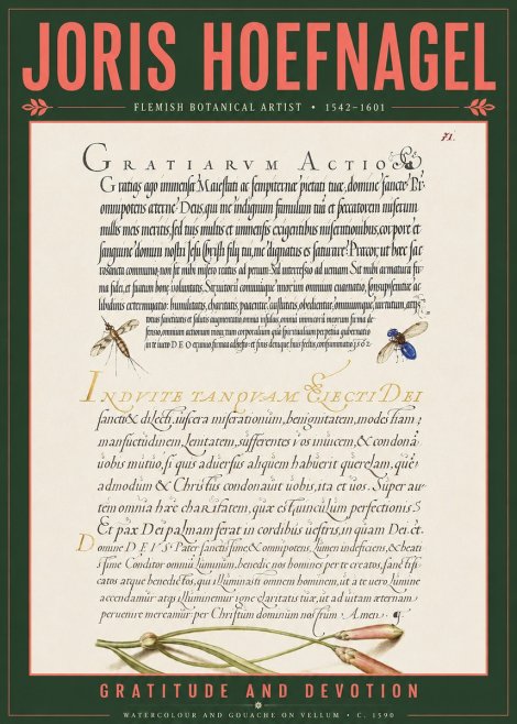 Joris Hoefnagel Thanksgiving to God • Institute for Botanical Studies No5 - Poster