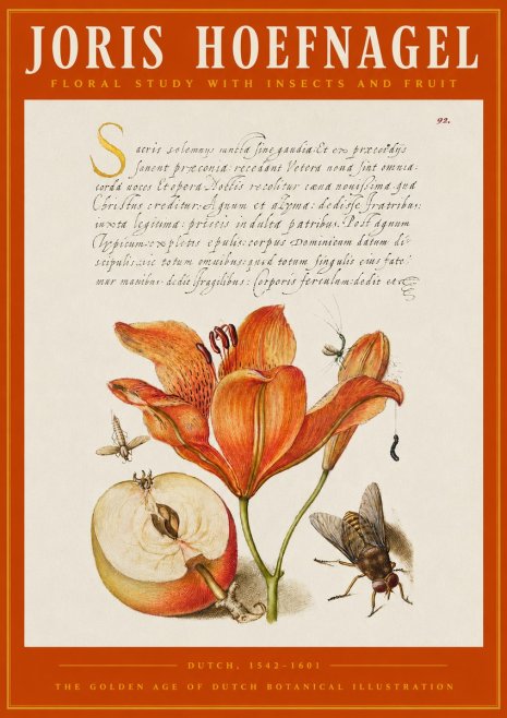 Joris Hoefnagel Floral Study with Insects and Fruit No2 - Poster