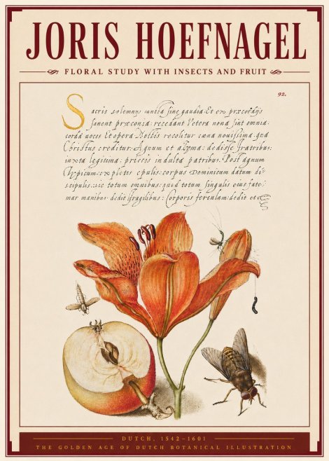 Joris Hoefnagel Floral Study with Insects and Fruit No4 - Poster