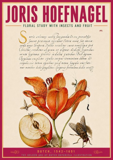 Joris Hoefnagel Floral Study with Insects and Fruit No5 - Poster