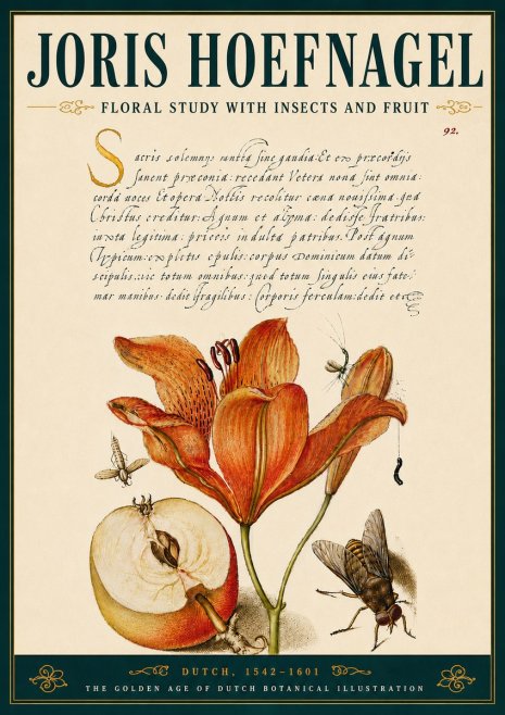 Joris Hoefnagel Floral Study with Insects and Fruit No6 - Poster