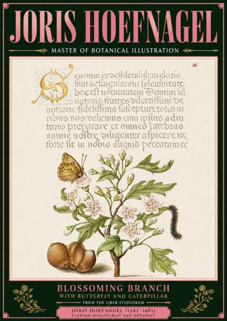 Joris Hoefnagel Blossoming Branch No6 - Poster