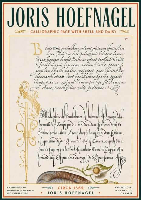 Joris Hoefnagel Calligraphic Page with Shell and Daisy No6 - Poster