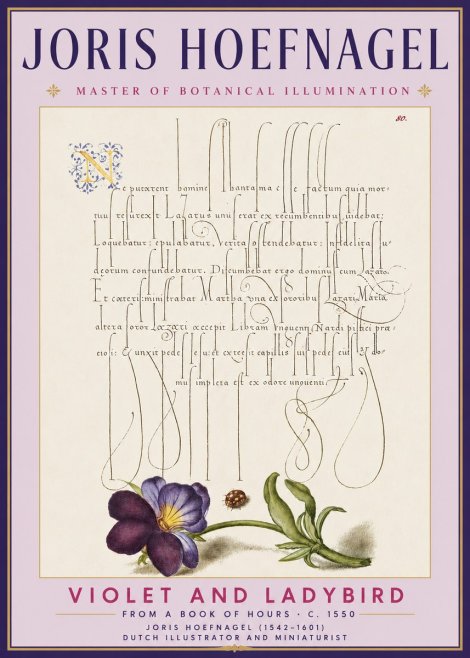 Joris Hoefnagel Violet and Ladybird No3 - Poster