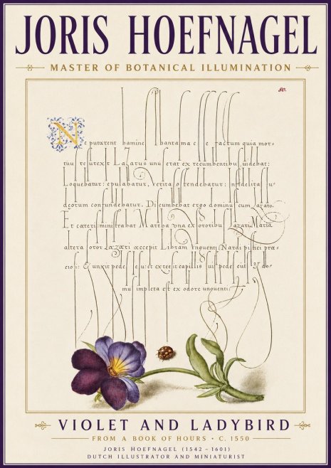 Joris Hoefnagel Violet and Ladybird No6 - Poster