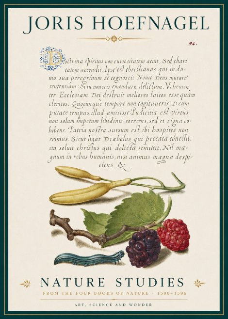 Joris Hoefnagel Nature Studies No3 - Poster