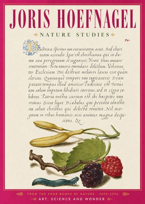 Joris Hoefnagel Nature Studies No6 - Poster