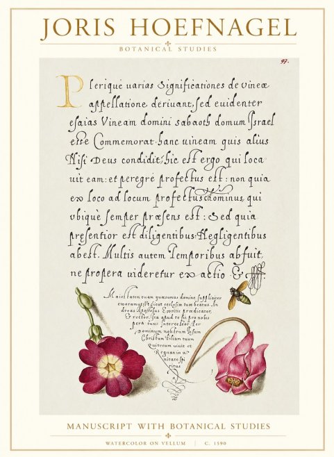 Joris Hoefnagel Manuscript with Botanical Studies No1 - Poster