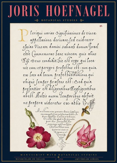 Joris Hoefnagel Manuscript with Botanical Studies No3 - Poster