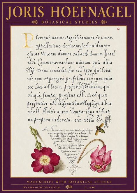 Joris Hoefnagel Manuscript with Botanical Studies No5 - Poster