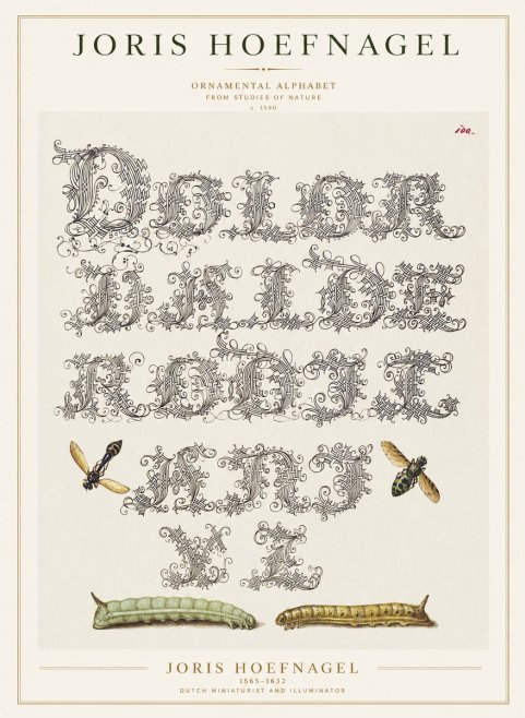 Joris Hoefnagel Ornamental Alphabet from Studies of Nature No1 - Poster