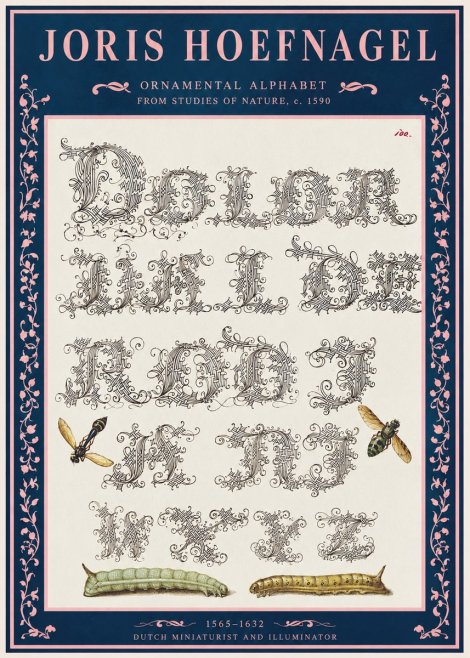 Joris Hoefnagel Ornamental Alphabet from Studies of Nature No2 - Poster