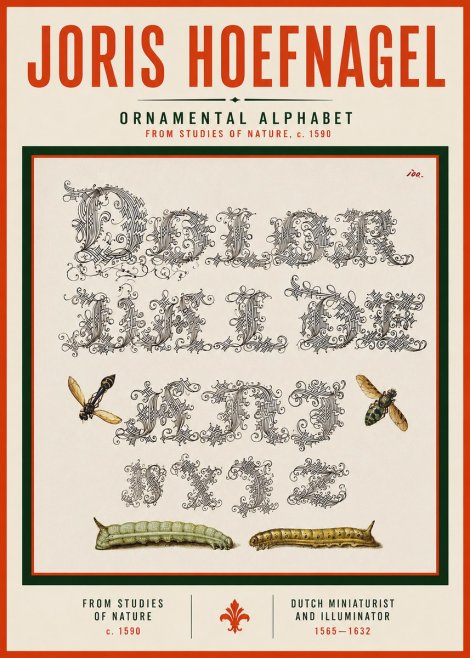 Joris Hoefnagel Ornamental Alphabet from Studies of Nature No3 - Poster