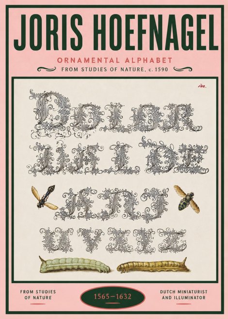 Joris Hoefnagel Ornamental Alphabet from Studies of Nature No4 - Poster