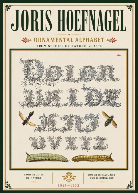 Joris Hoefnagel Ornamental Alphabet from Studies of Nature No6 - Poster