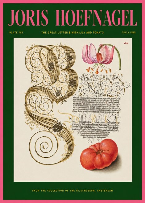 Joris Hoefnagel The Great Letter B with Lily and Tomato No2 - Poster