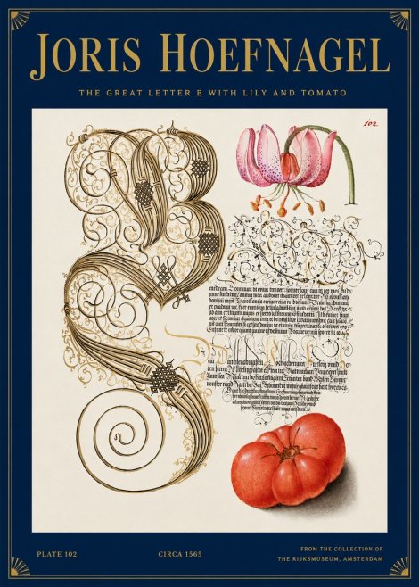 Joris Hoefnagel The Great Letter B with Lily and Tomato No3 - Poster