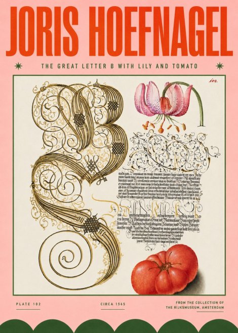 Joris Hoefnagel The Great Letter B with Lily and Tomato No4 - Poster