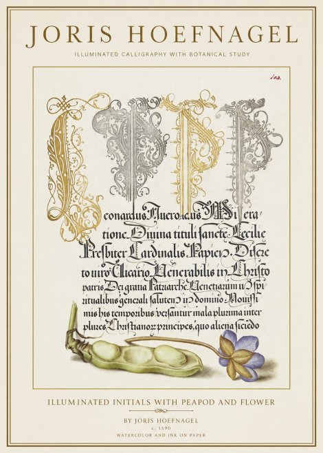 Joris Hoefnagel Illuminated Initials with Peapod and Flower No1 - Poster