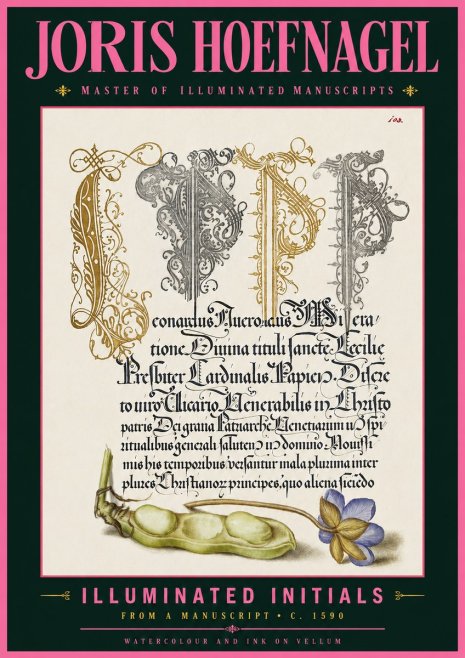 Joris Hoefnagel Illuminated Initials with Peapod and Flower No6 - Poster