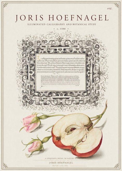 Joris Hoefnagel Illuminated Calligraphy and Botanical Study No1 - Poster