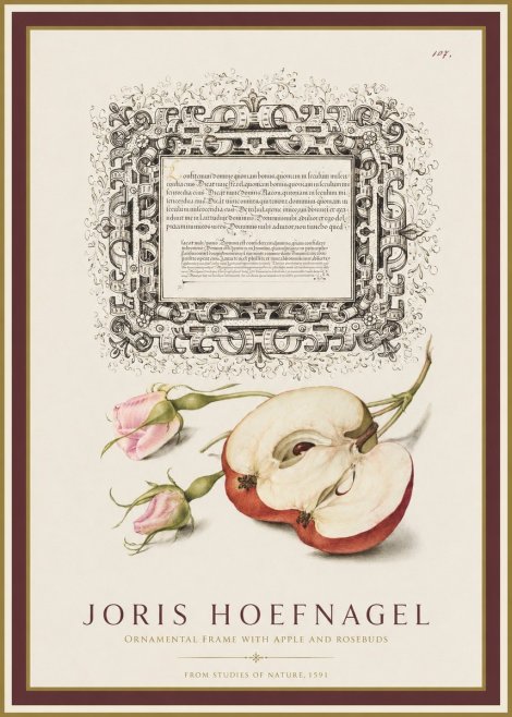 Joris Hoefnagel Illuminated Calligraphy and Botanical Study No2 - Poster