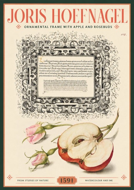 Joris Hoefnagel Illuminated Calligraphy and Botanical Study No3 - Poster