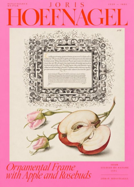 Joris Hoefnagel Illuminated Calligraphy and Botanical Study No4 - Poster