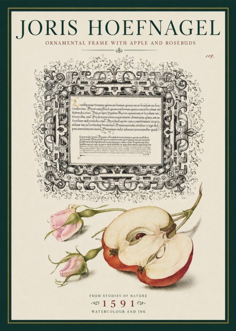 Joris Hoefnagel Illuminated Calligraphy and Botanical Study No5 - Poster