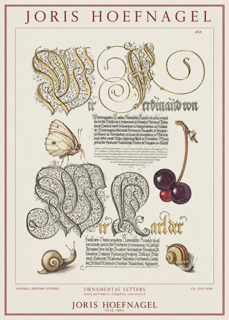 Joris Hoefnagel Ornamental Letters with Butterfly, Cherries and Snails No1 - Poster