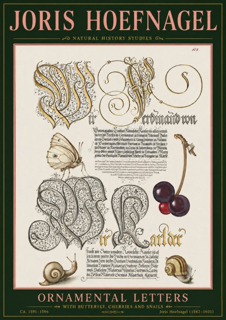 Joris Hoefnagel Ornamental Letters with Butterfly, Cherries and Snails No5 - Poster