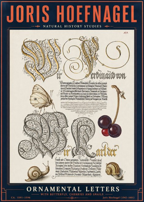 Joris Hoefnagel Ornamental Letters with Butterfly, Cherries and Snails No6 - Poster