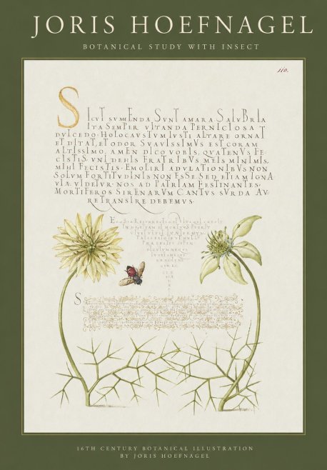 Joris Hoefnagel Botanical Study with Insect No1 - Poster