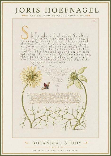 Joris Hoefnagel Botanical Study with Insect No2 - Poster