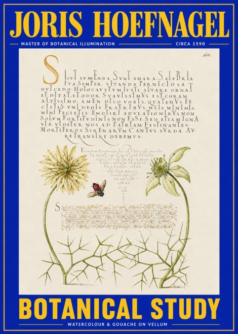 Joris Hoefnagel Botanical Study with Insect No4 - Poster