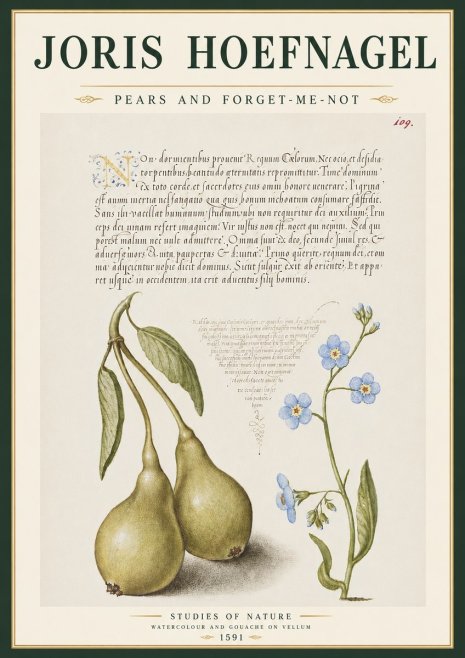 Joris Hoefnagel Pears and Forget-me-not No4 - Poster