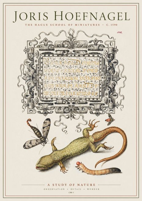 Joris Hoefnagel A Study of Nature III No1 - Poster