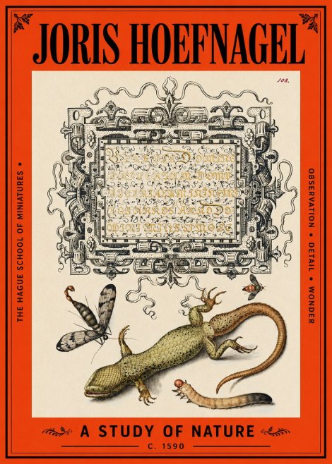 Joris Hoefnagel A Study of Nature III No2 - Poster