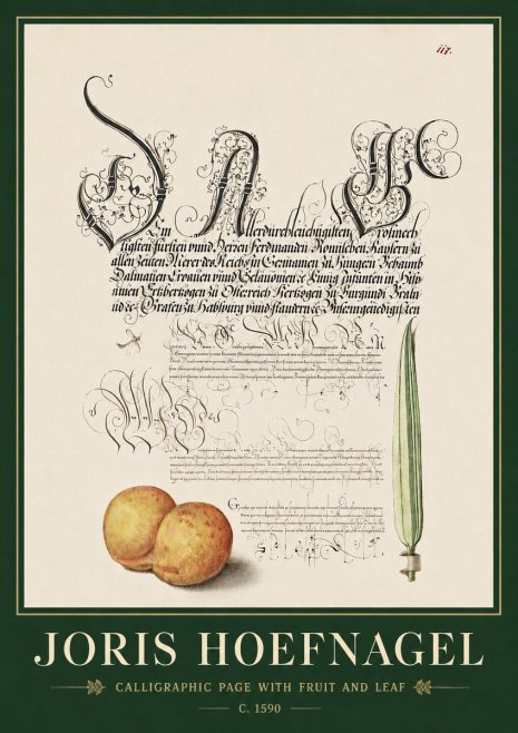 Joris Hoefnagel Calligraphic Page with Fruit and Leaf No3 - Poster