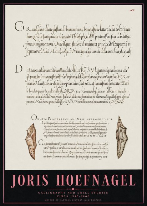 Joris Hoefnagel Study of Shells and Calligraphy No5 - Poster