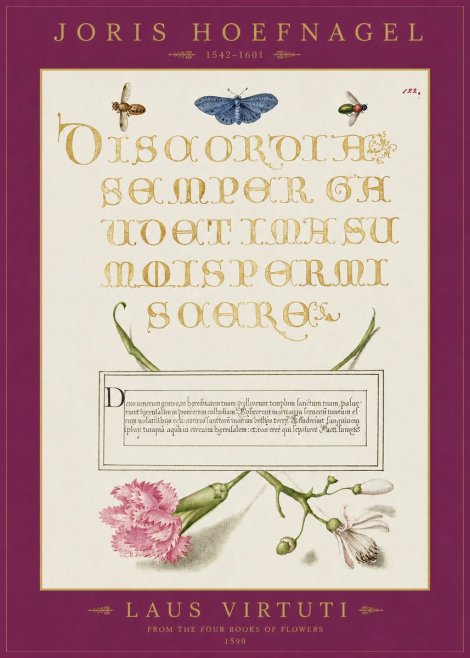 Joris Hoefnagel Laus Virtuti No2 - Poster