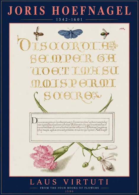 Joris Hoefnagel Laus Virtuti No3 - Poster