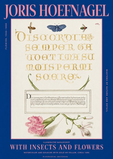 Joris Hoefnagel Laus Virtuti No5 - Poster